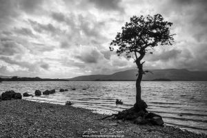 Milarrochy Bay Loch Lomond