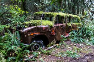 Offroad Near Lund British Columbia