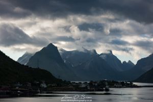 Reine