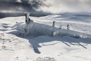 Snow Fence