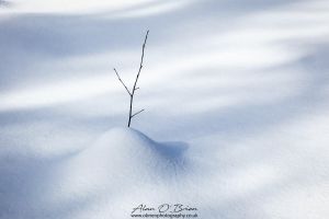 Snow bound