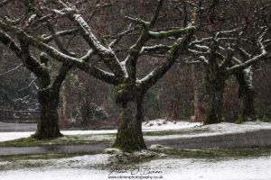 Stanley Park Vancouver