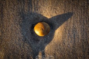 Sunlit Pebble