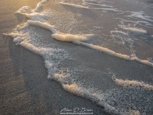 Sunlit Surf