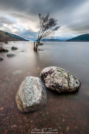 The Alder Loch Ness