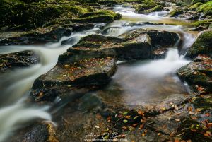 The Birks Aberfeldy