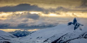 The Black Tooth from Whistler