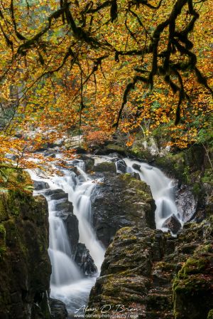 The Hermitage Dunkeld