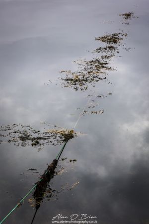 The Rope
