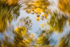 Turn of the Seasons