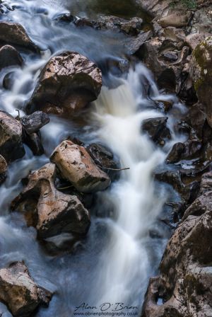 Watching the River Flow
