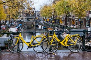 Yellow Bikes Amsterdam